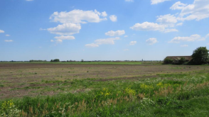 Land for sale in Manea, March photo